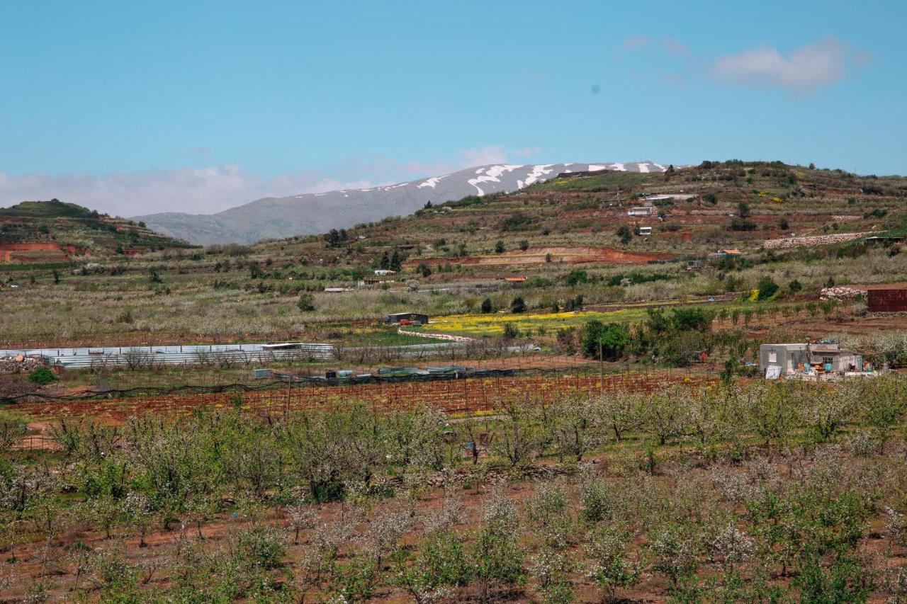 Grand Golan Villa Buq'ata Buitenkant foto